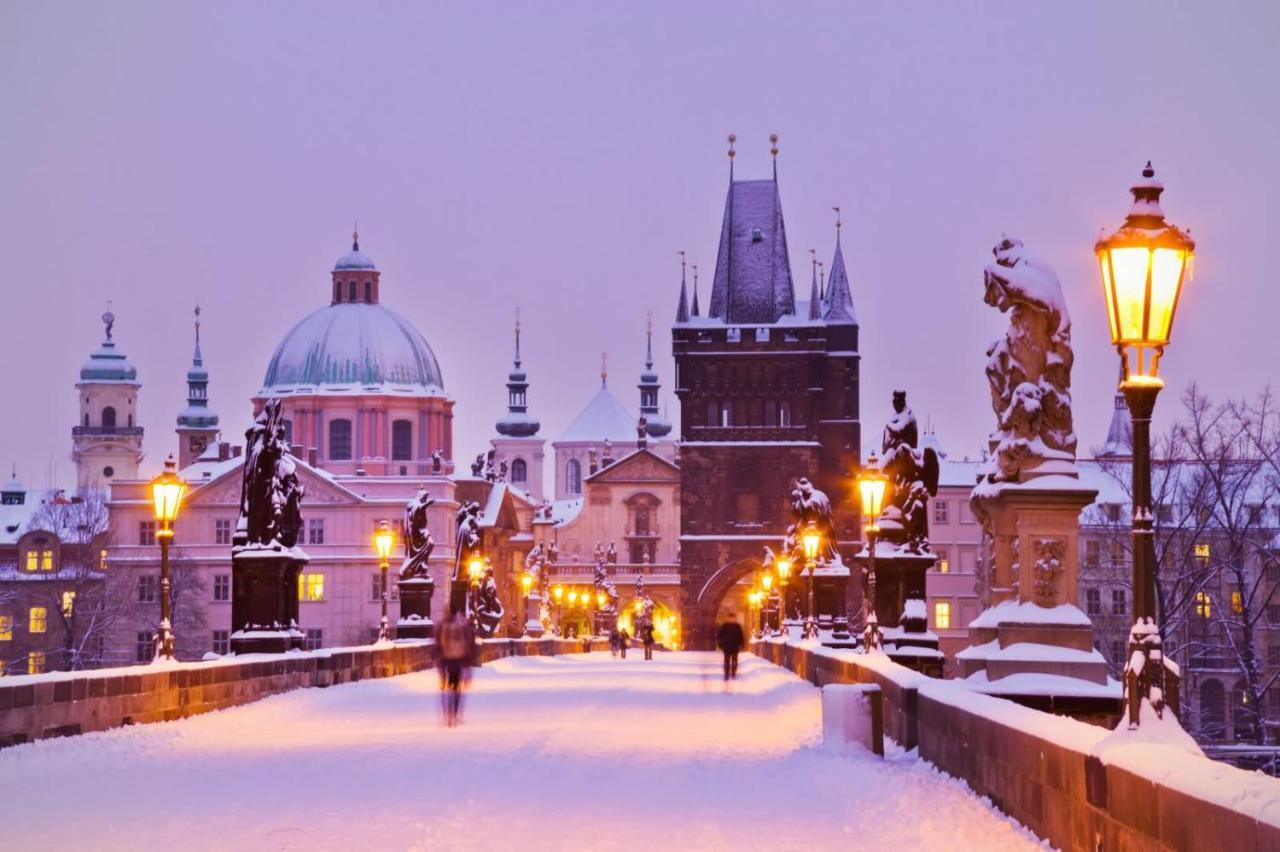 Zizkov Apt Prague By Michal&Friends Dış mekan fotoğraf